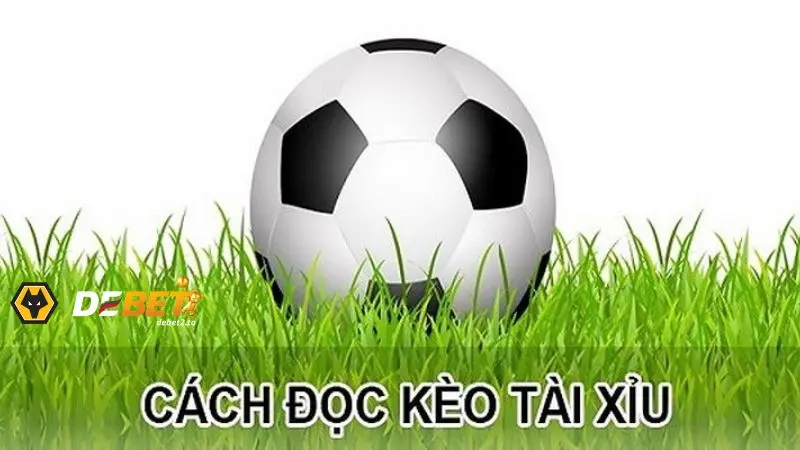 keo tai xiu 3 Quy tắc chơi cá cược